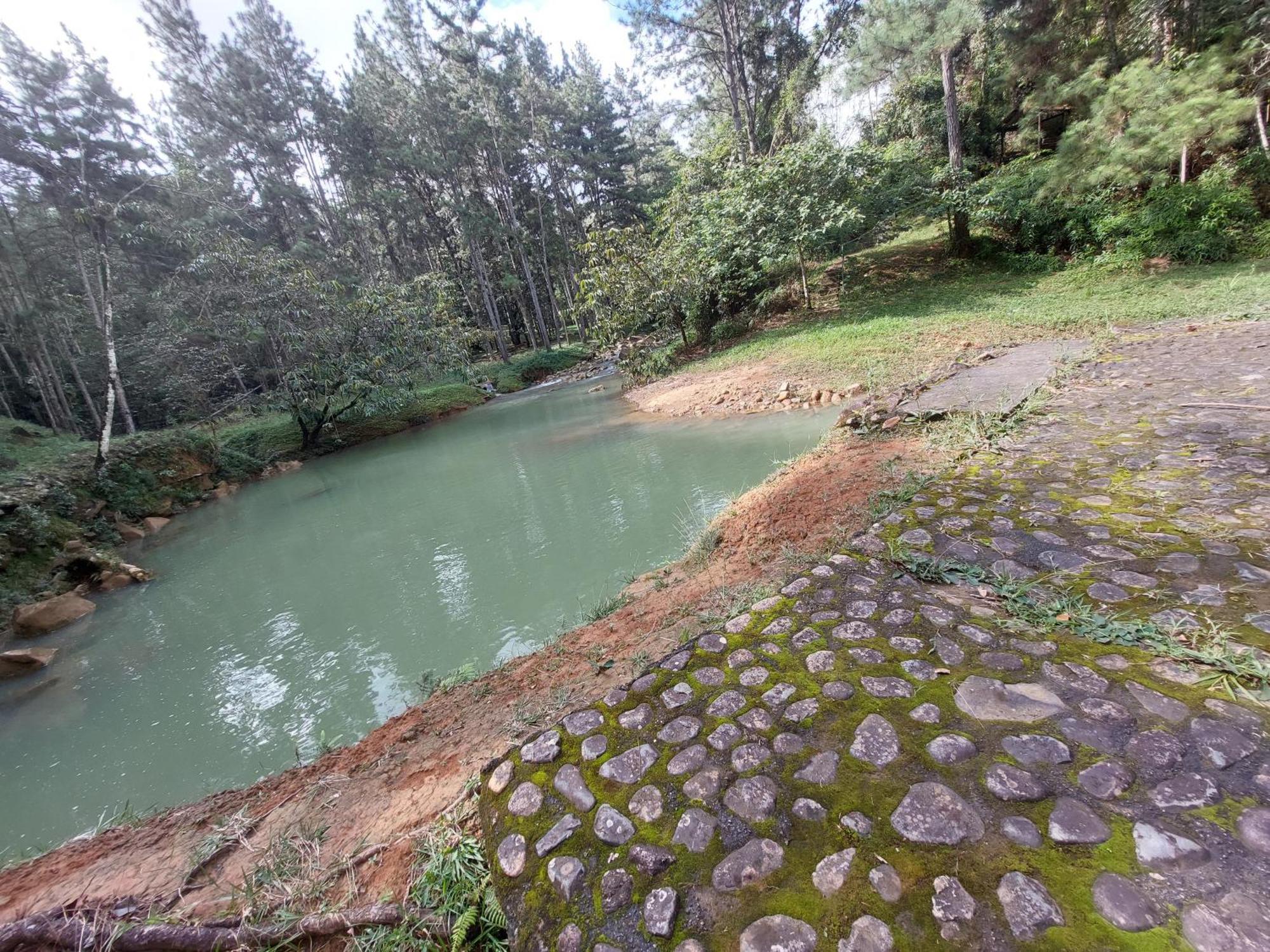 Mandalas Ecolodge Ecotourism Cerro Azul Quarto foto