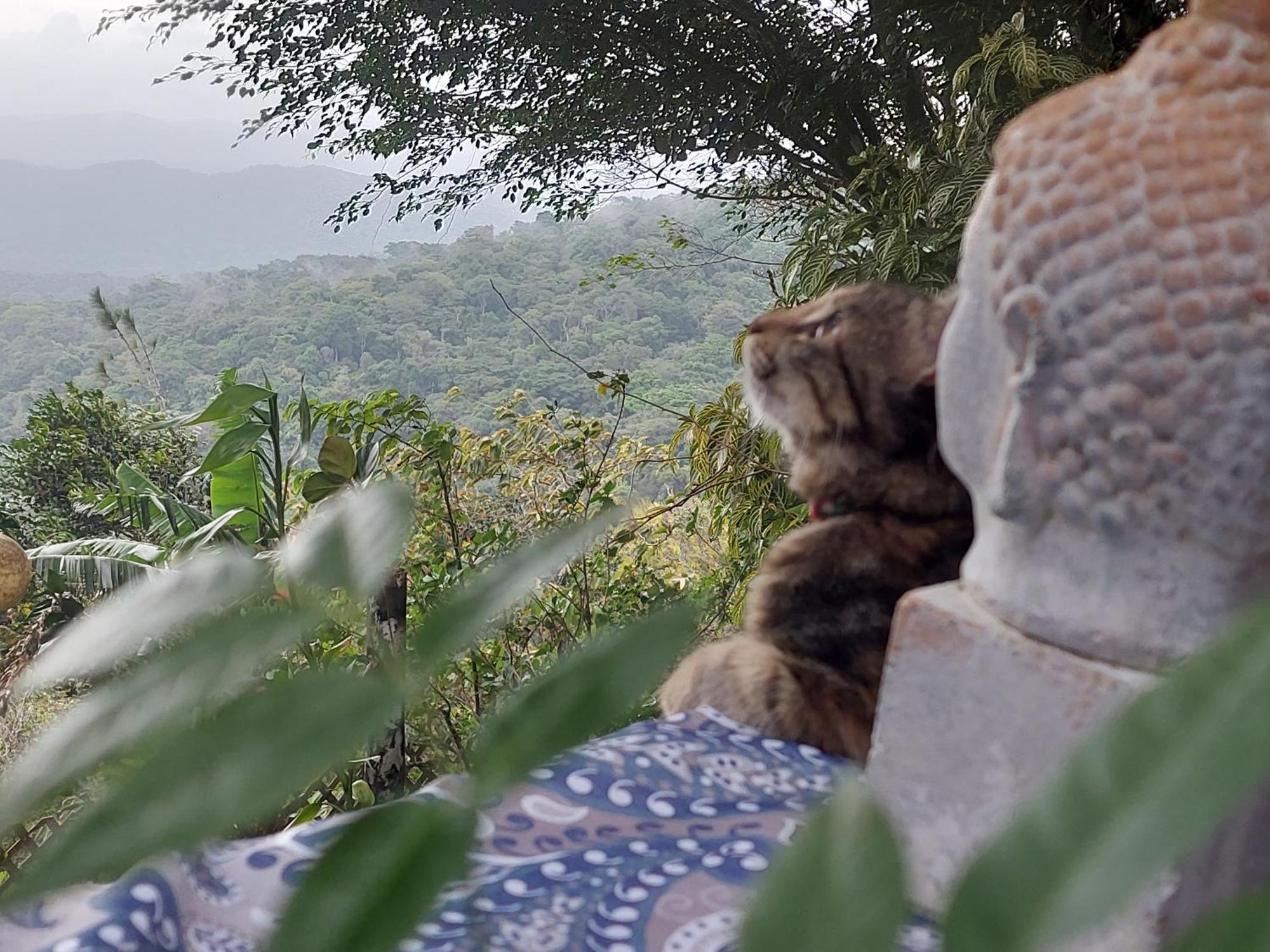Mandalas Ecolodge Ecotourism Cerro Azul Quarto foto